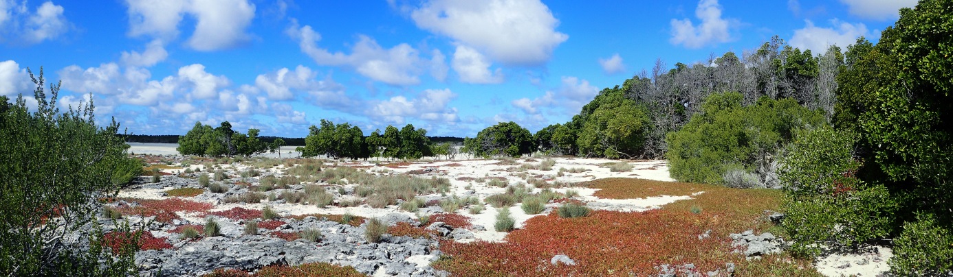 îlot karstique du grand lagon. 